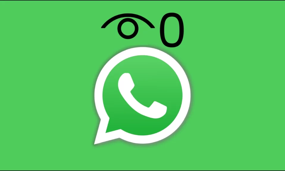 7 Ways to Fix No Views on WhatsApp Status